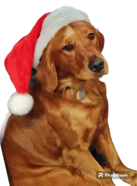 Santa's Helper, Nyla (RSD)